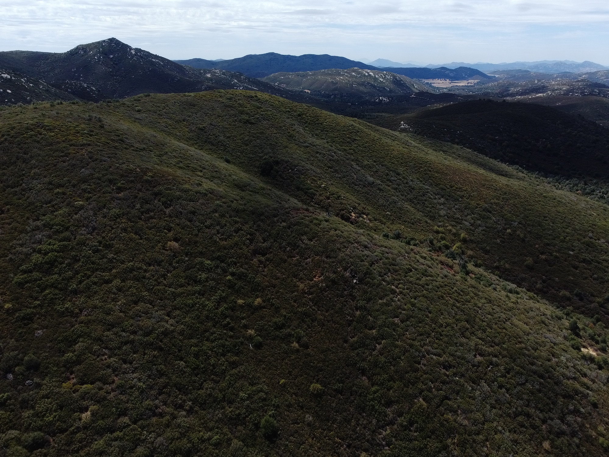 Cuyamaca Rancho State Park - 3