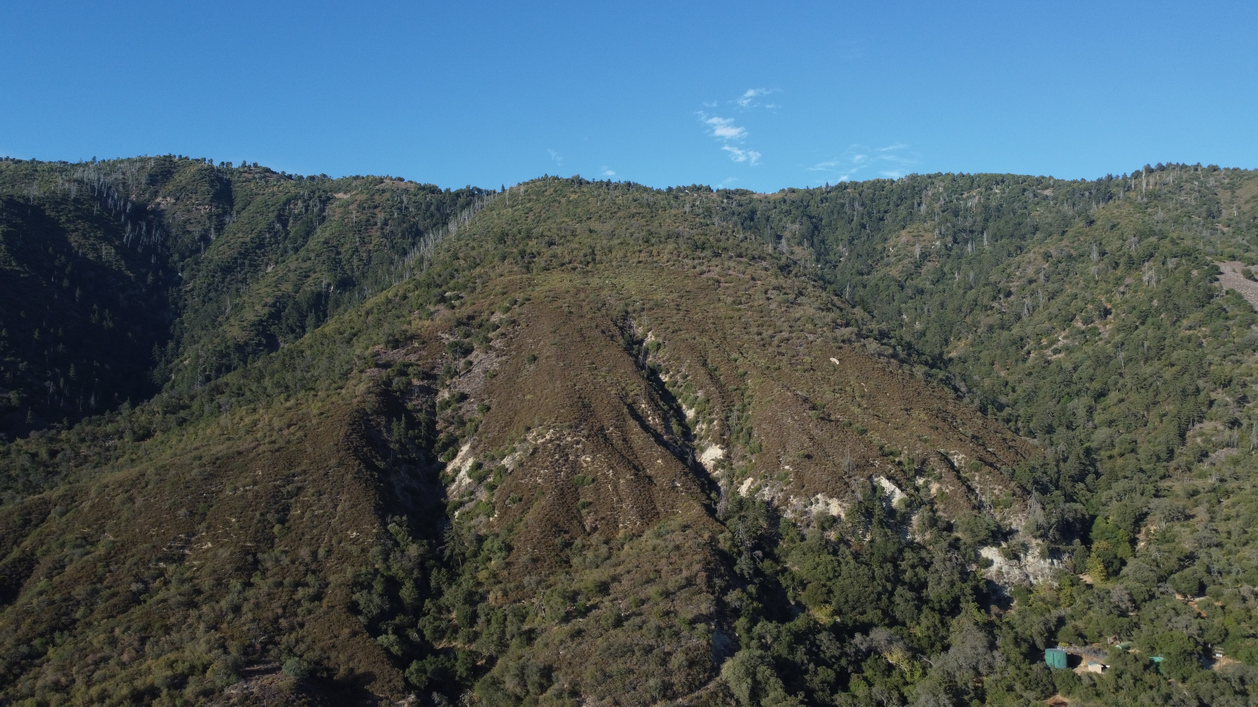 Palomar Mountain